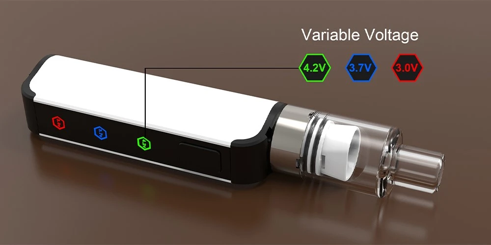 dry herb vapes 2022