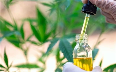 9 CBD aliejaus privalumai sveikatai – ir šalutinis poveikis