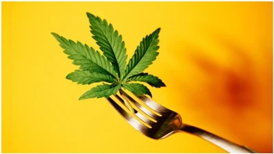 CBD DUK