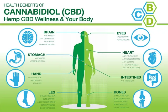 5 geriausi CBD aliejaus privalumai sveikatai – ir šalutinis poveikis