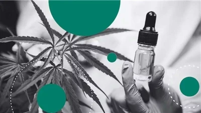 Kodėl CBD yra geriausi natūralūs lūpų balzamai