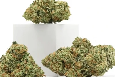 Kodėl CBD yra geriausi natūralūs lūpų balzamai