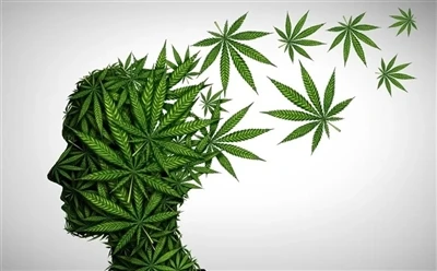 Kaip naudoti CBD aliejų siekiant optimalios naudos: visas vadovas?